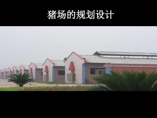 猪场的规划设计PPT课件.ppt