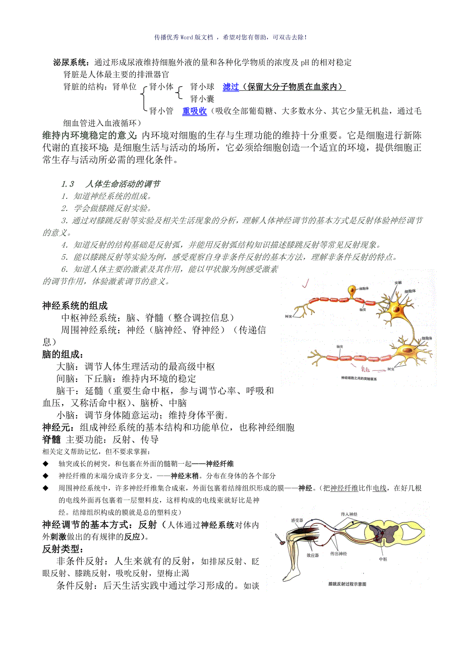 上海初中生命科学考试学业考试复习纲要Word版.doc_第3页