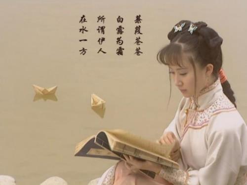 大学语文蒹葭PPT课件.ppt