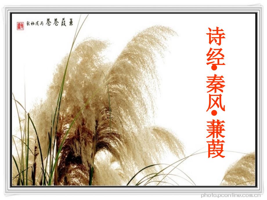 大学语文蒹葭PPT课件.ppt_第2页