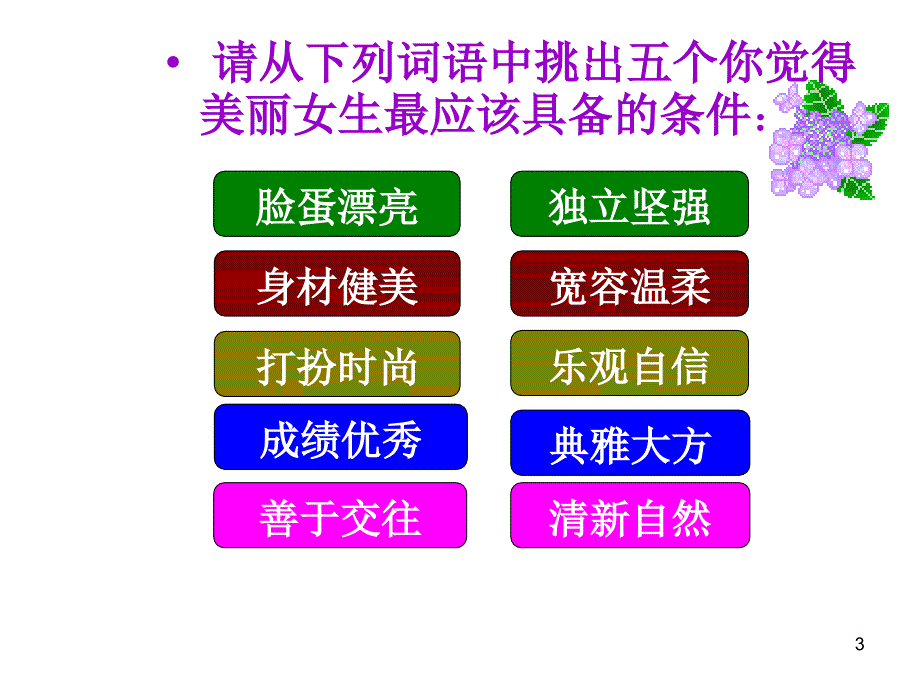 女生会议美丽女生.ppt_第3页