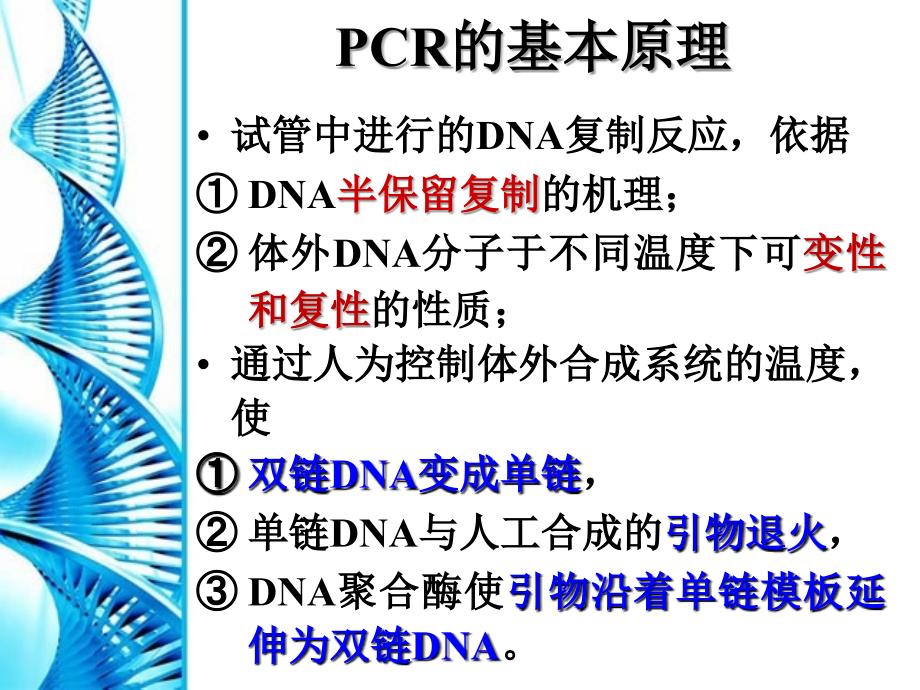 PCR原理及其操作.ppt_第3页