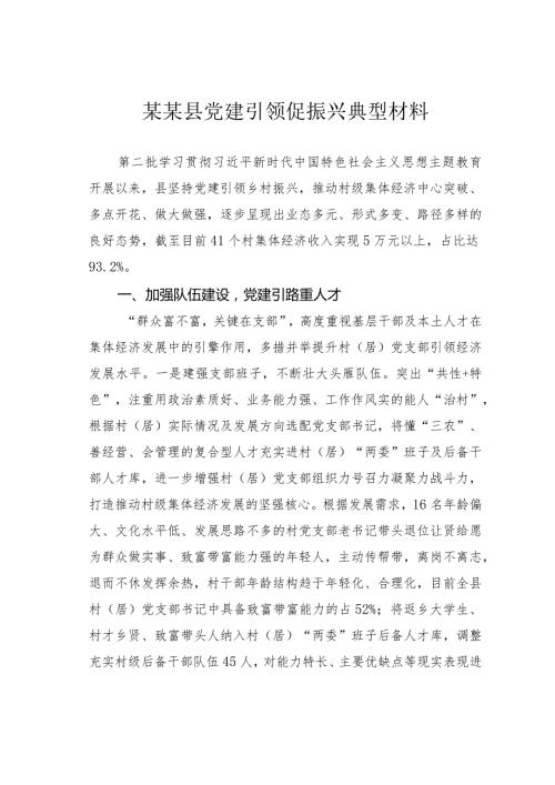 某某县党建引领促振兴典型材料(1).docx