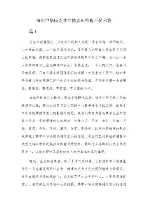 铸牢中华民族共同体意识检视不足六篇.docx