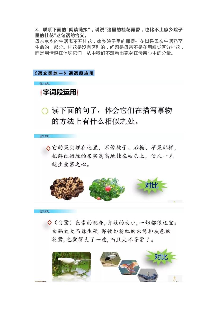 上册语文五年级教材课后习题参考答案部编版小学.doc_第3页