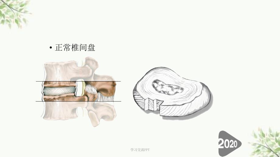一次性纤维环缝合器ppt课件.ppt_第2页