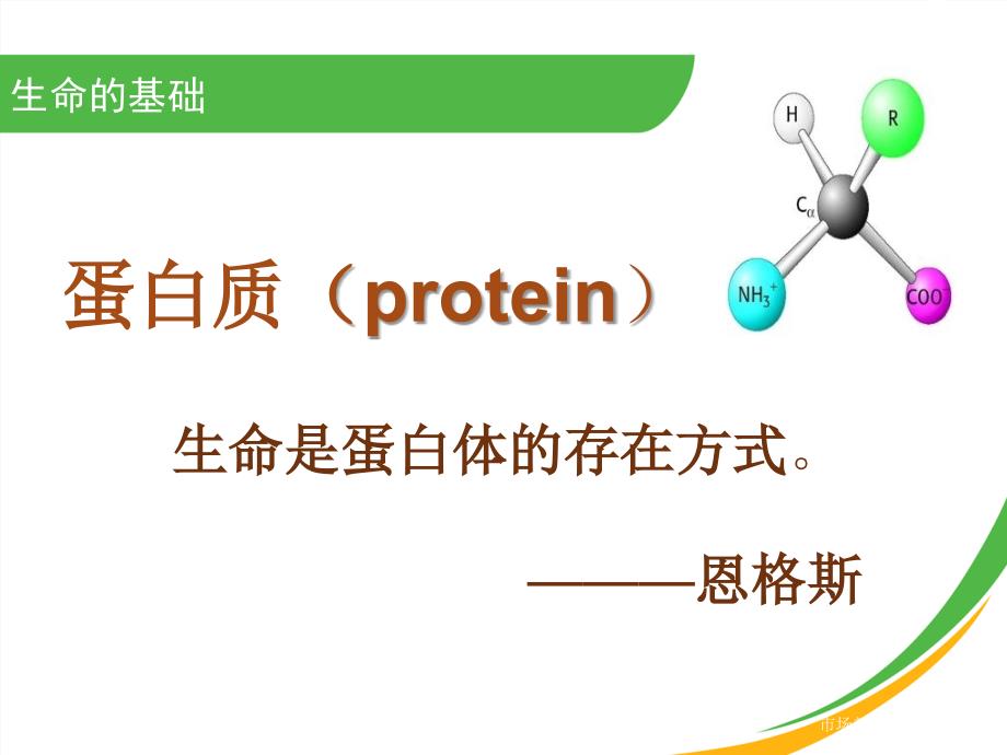 大豆肽蛋白粉PPT课件.ppt_第2页