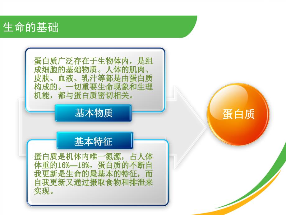 大豆肽蛋白粉PPT课件.ppt_第3页