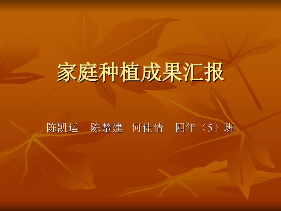 家庭种植成果汇报.ppt_第1页