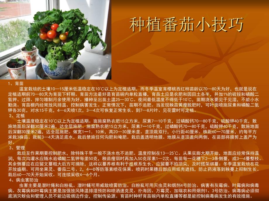 家庭种植成果汇报.ppt_第2页