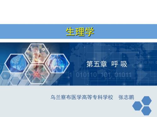 生理学呼吸.PPT.ppt