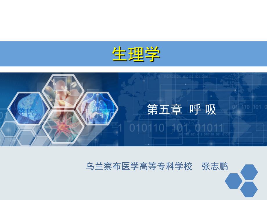 生理学呼吸.PPT.ppt_第1页