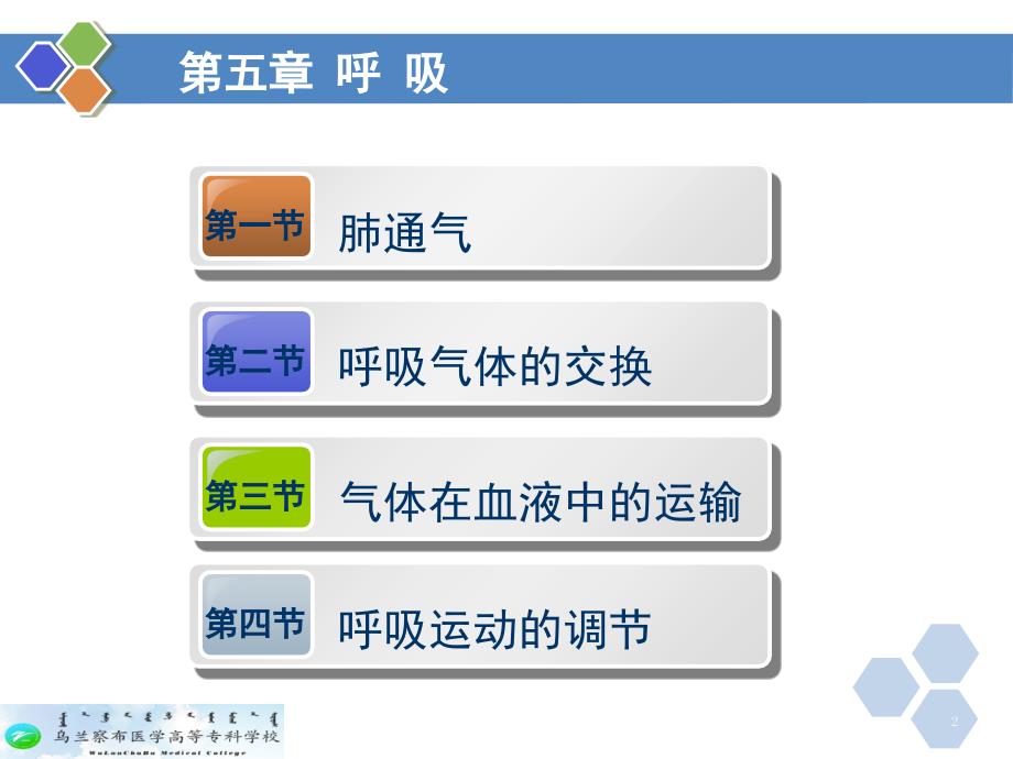 生理学呼吸.PPT.ppt_第2页