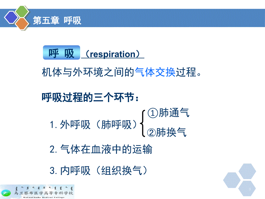 生理学呼吸.PPT.ppt_第3页