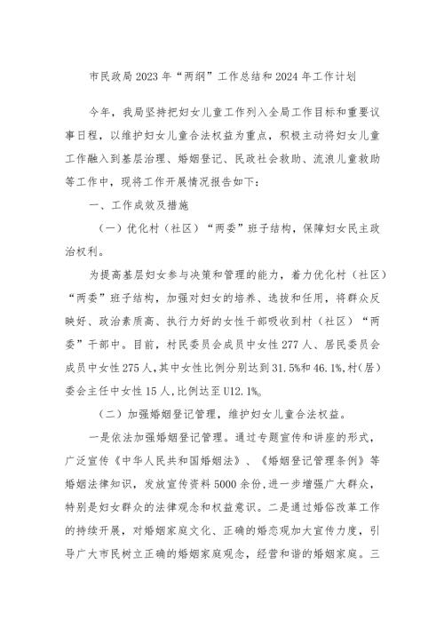 市民政局2023年“两纲”工作总结和2024年工作计划.docx