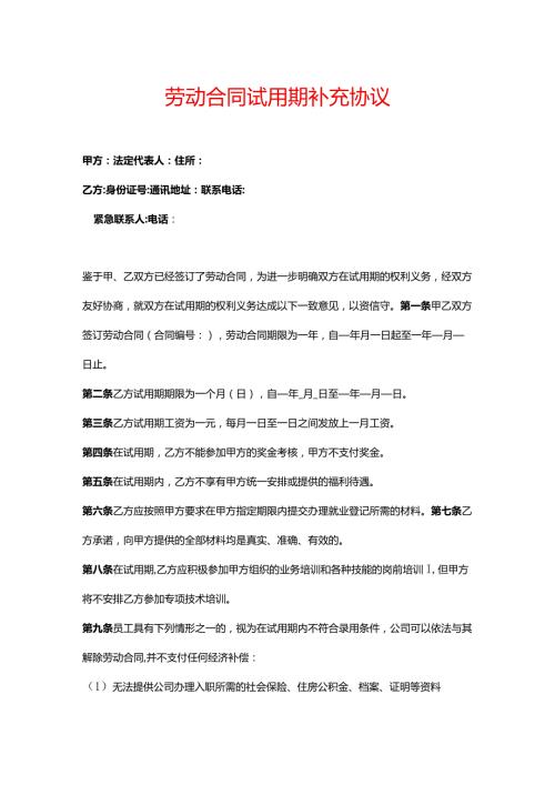 劳动合同试用期补充协议.docx