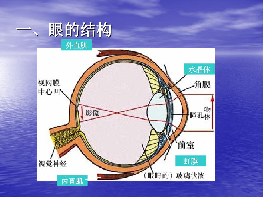 特殊儿童教育PPT课件.ppt_第3页