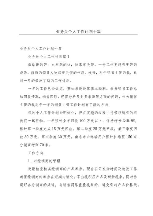 业务员个人工作计划十篇.docx