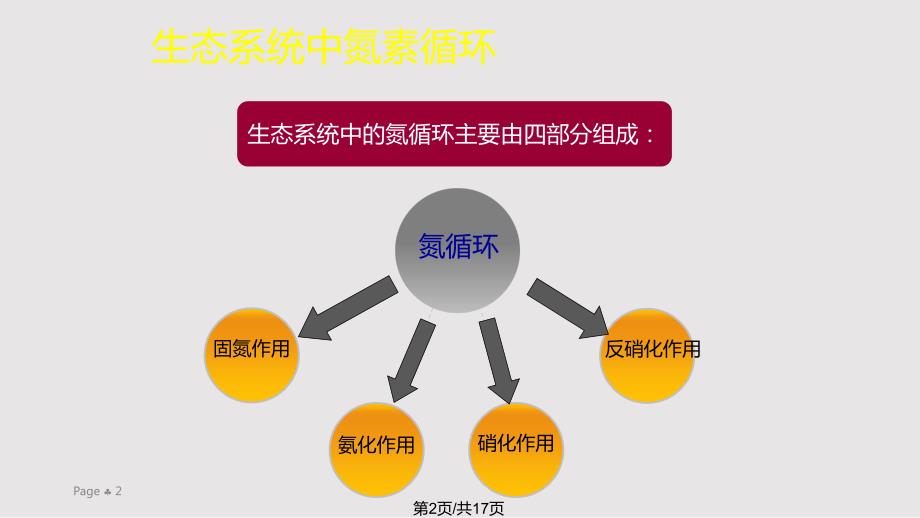 生态系统氮循环PPT课件.pptx_第2页