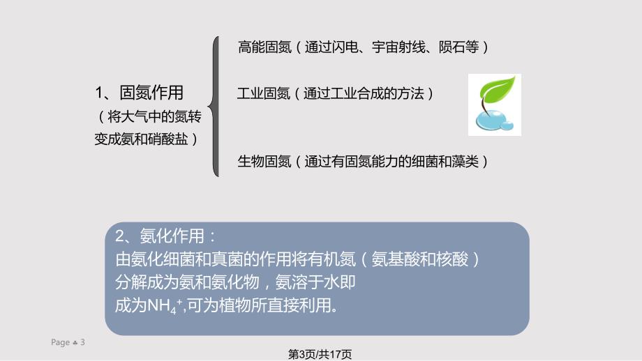 生态系统氮循环PPT课件.pptx_第3页