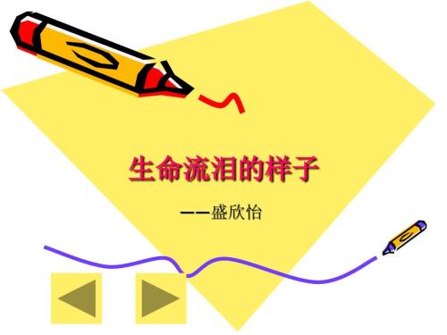 生命流泪的样子PPT课件.ppt