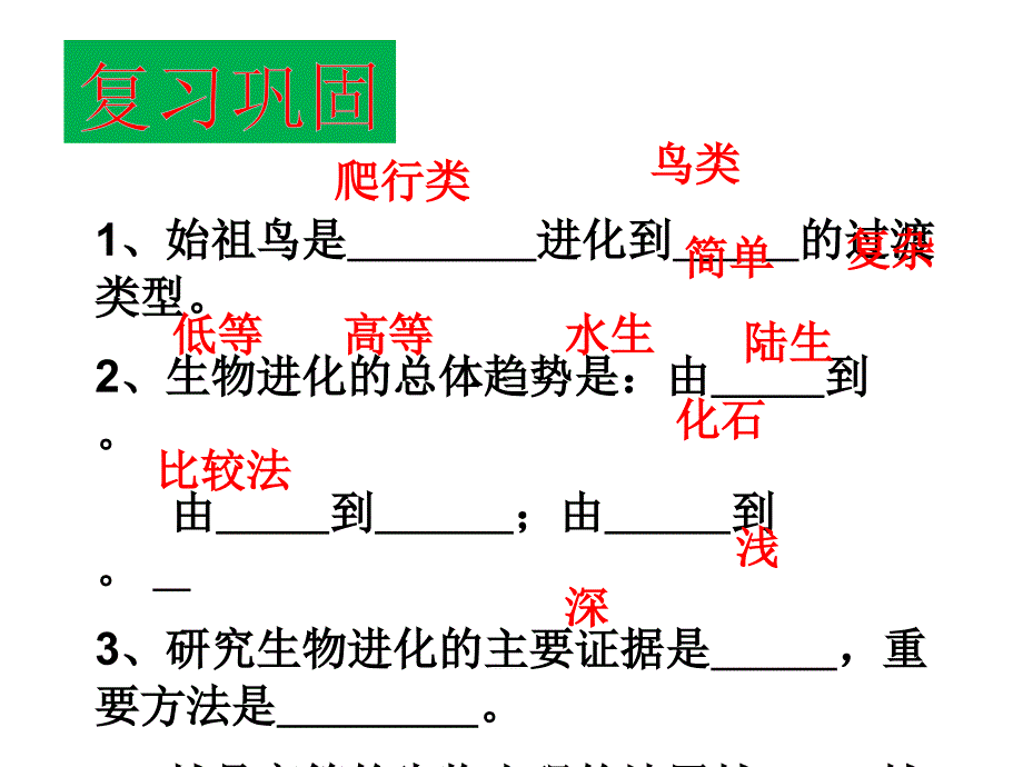 生物进化的原因PPT课件.ppt_第2页