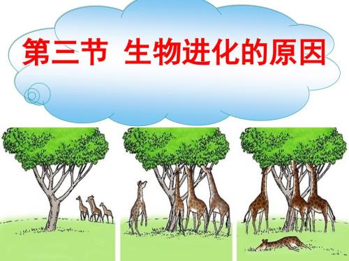 生物进化的原因PPT课件.ppt