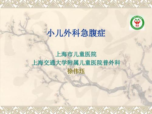 小儿外科急腹症.ppt