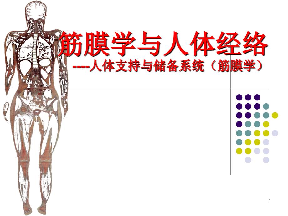 中医学理论筋膜学与人体经络ppt课件.ppt_第1页