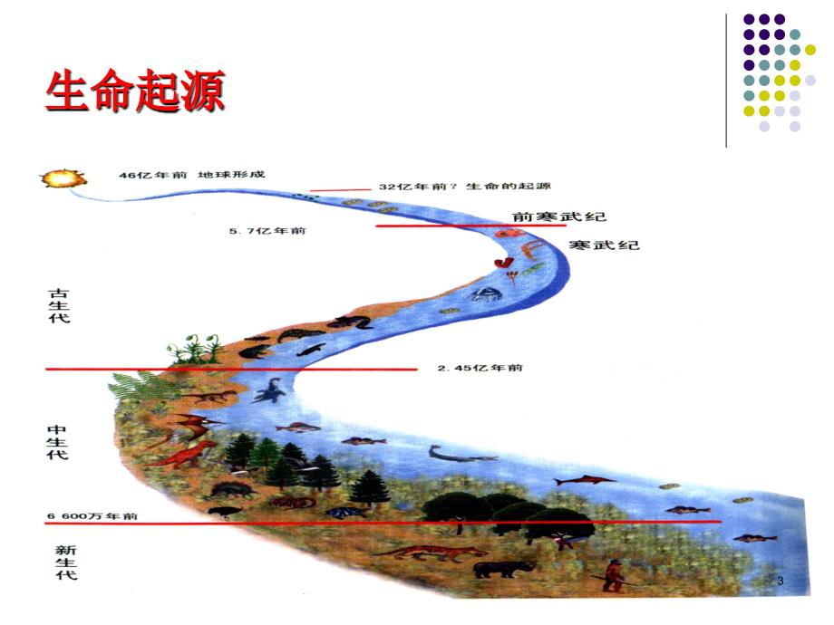 中医学理论筋膜学与人体经络ppt课件.ppt_第3页