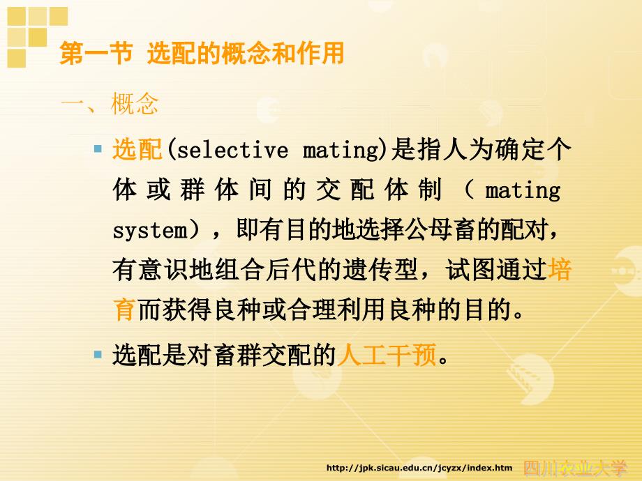 家畜育种学08个体选配.ppt_第2页