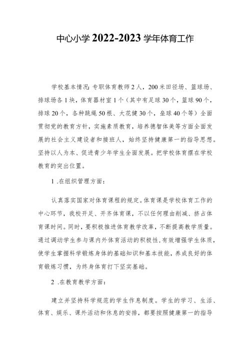 中心小学20222023体育工作自查报告.docx