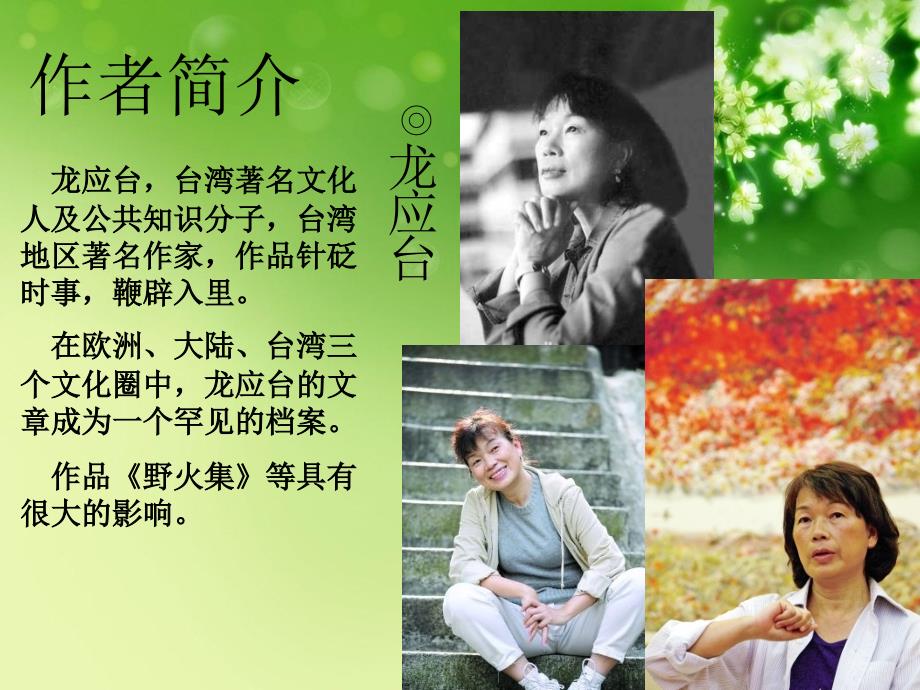 目送读书报告会.ppt_第2页