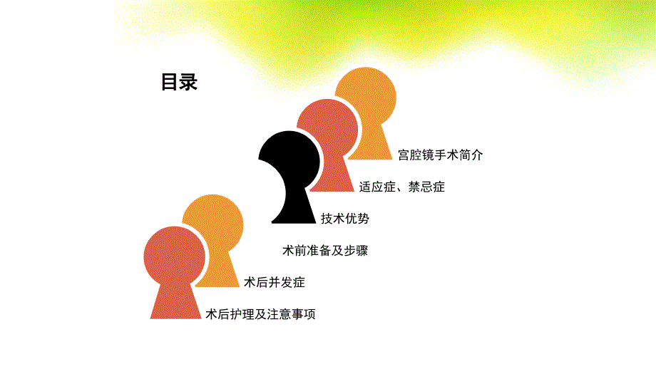宫腔镜围手术期的护理.PPTx_第2页
