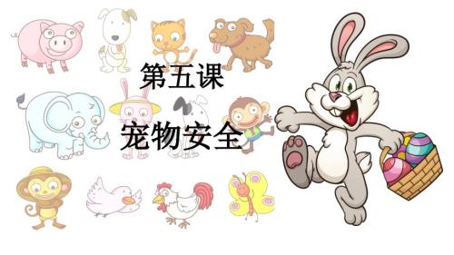 宠物安全ppt课件.pptx