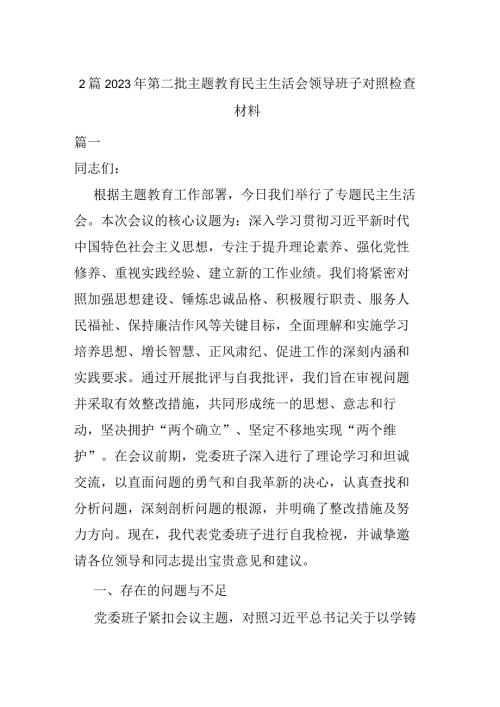 2篇2023年第二批主题教育民主生活会检查材料.docx