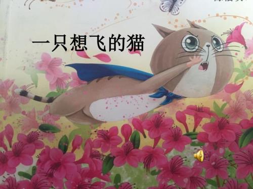 一只想飞的猫阅读推进课课件.ppt