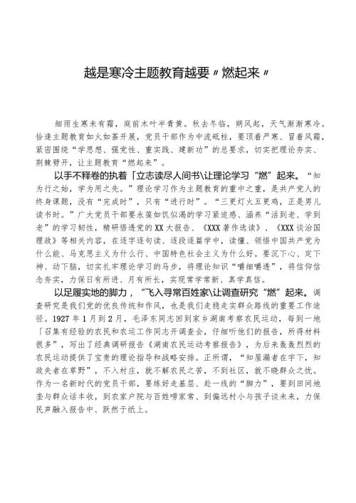 心得体会：越是寒冷 主题教育越要“燃起来”.docx