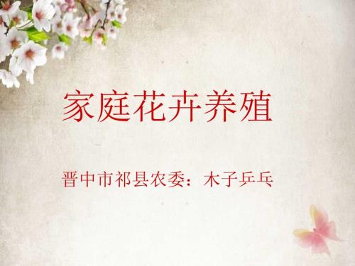 家庭花卉养殖技巧.ppt