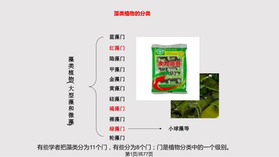 生物质能源微藻PPT课件.pptx_第1页