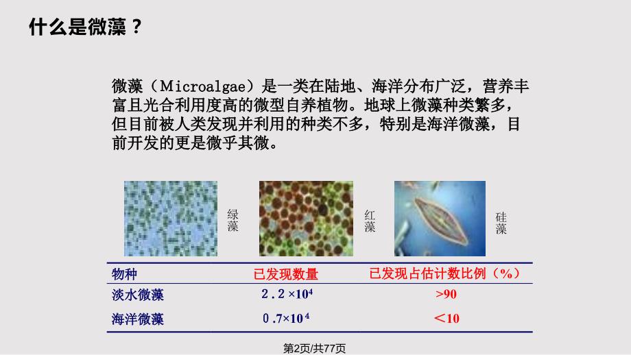 生物质能源微藻PPT课件.pptx_第2页