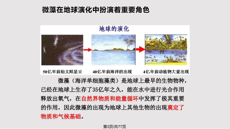 生物质能源微藻PPT课件.pptx_第3页