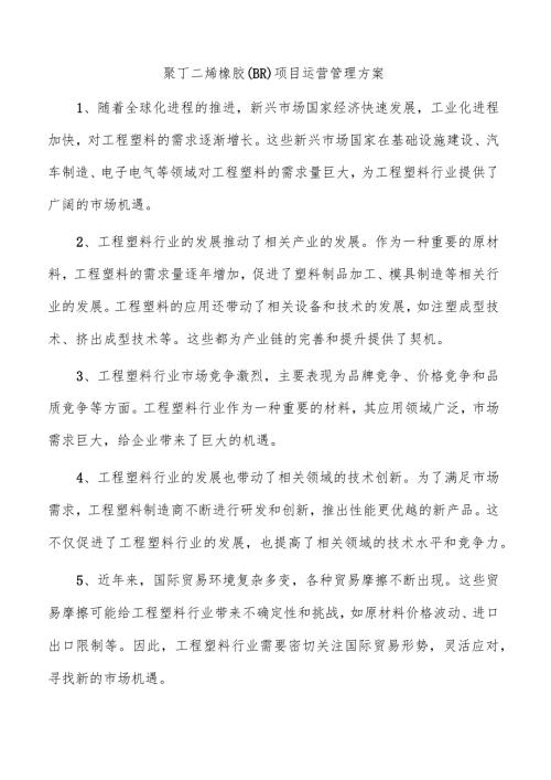 聚丁二烯橡胶（BR）项目运营管理方案.docx