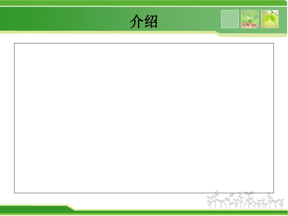 大白菜的种植技术PPT课件.ppt_第2页