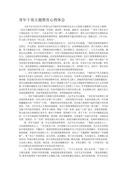 青年干部主题教育心得体会.docx