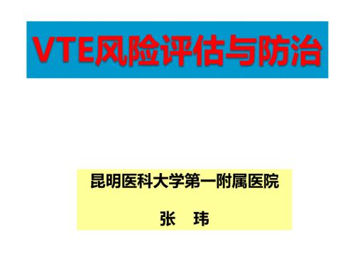 VTE预防与风险评估.pptx