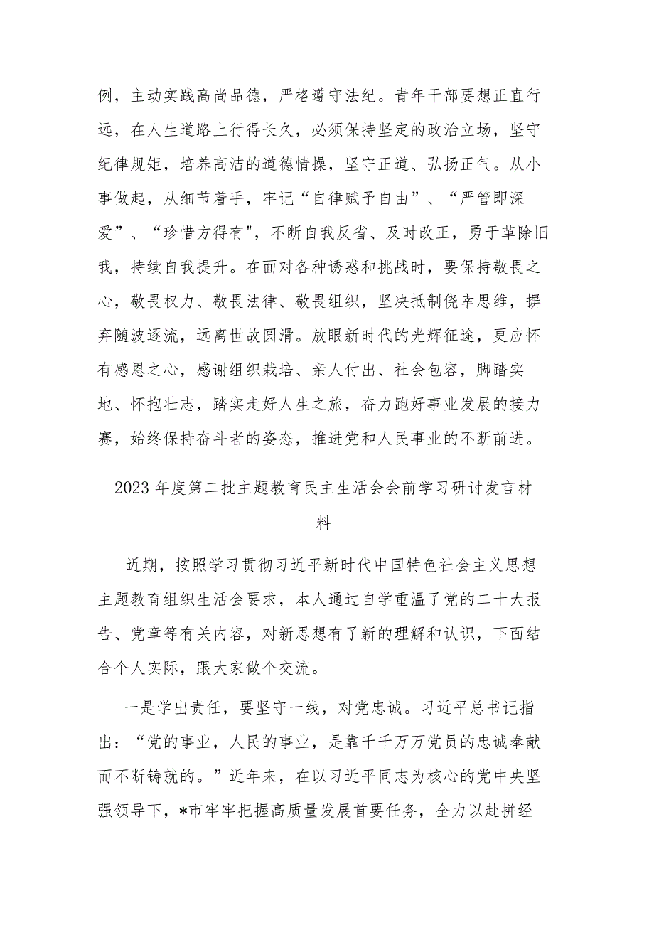 2023第二批主题教育民主生活会会前学习研讨发言材料(二篇).docx_第3页