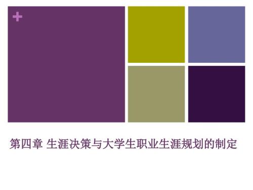 生涯决策与大学生职业生涯规划的制定.ppt