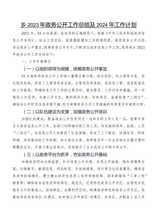 乡2023年政务公开工作总结及2024年工作计划.docx