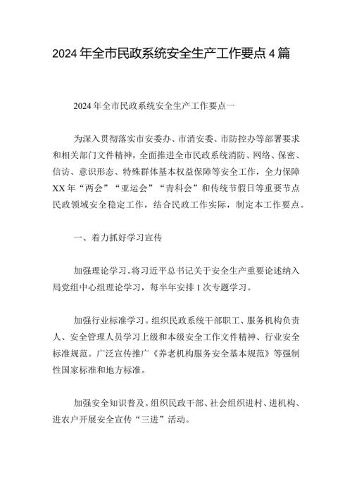2024年全市民政系统安全生产工作要点4篇.docx